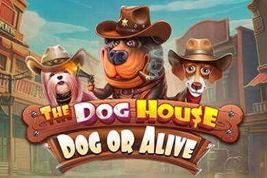 Thedoghousedogoralive слот онлайн ФейрСпин Казино